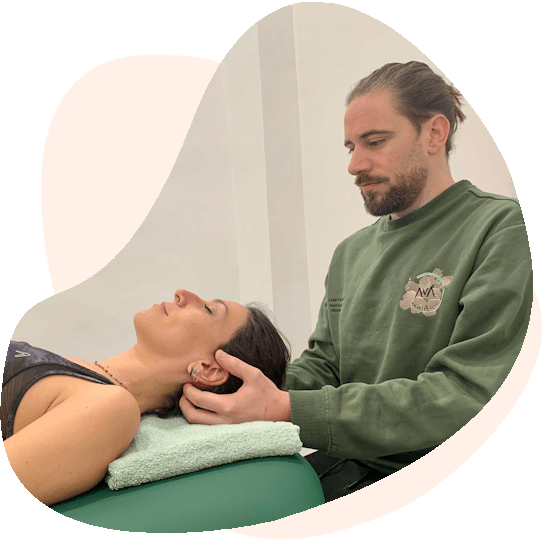 AVA Fisioterapia Osteopatia Cabeza