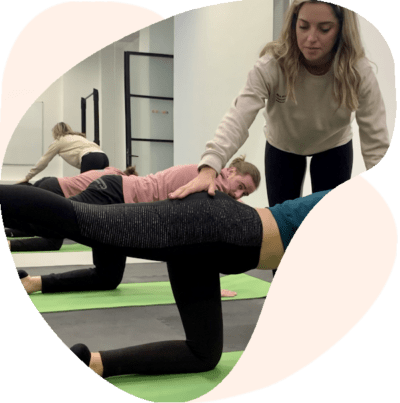 AVA Fisioterapia Pilates Ava Fisioterapia